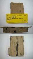 館藏編號:TAIMW000032的藏品圖